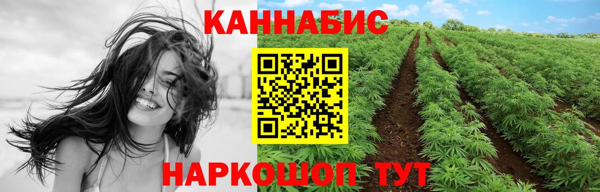 Бошки Шишки OG Kush Нижнеудинск